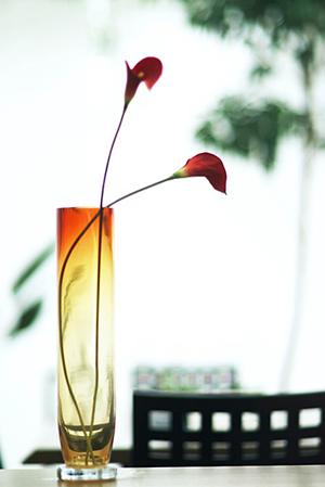 大阪でクロス張替と言えばこちらで決まり