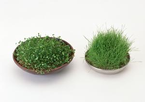 愛知県の方におすすめの絵画査定