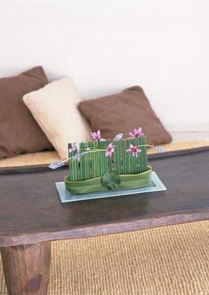 シャワー水栓など直輸入してくれる