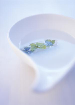 横浜にある最大規模のショールーム：タカラスタンダード横浜ショールームの魅力と詳細情報